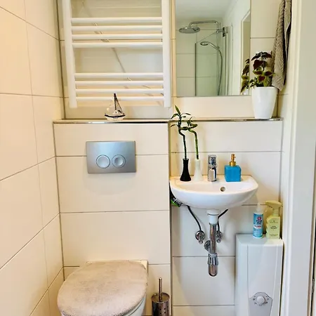 Nature In Ferch Schwielowsee